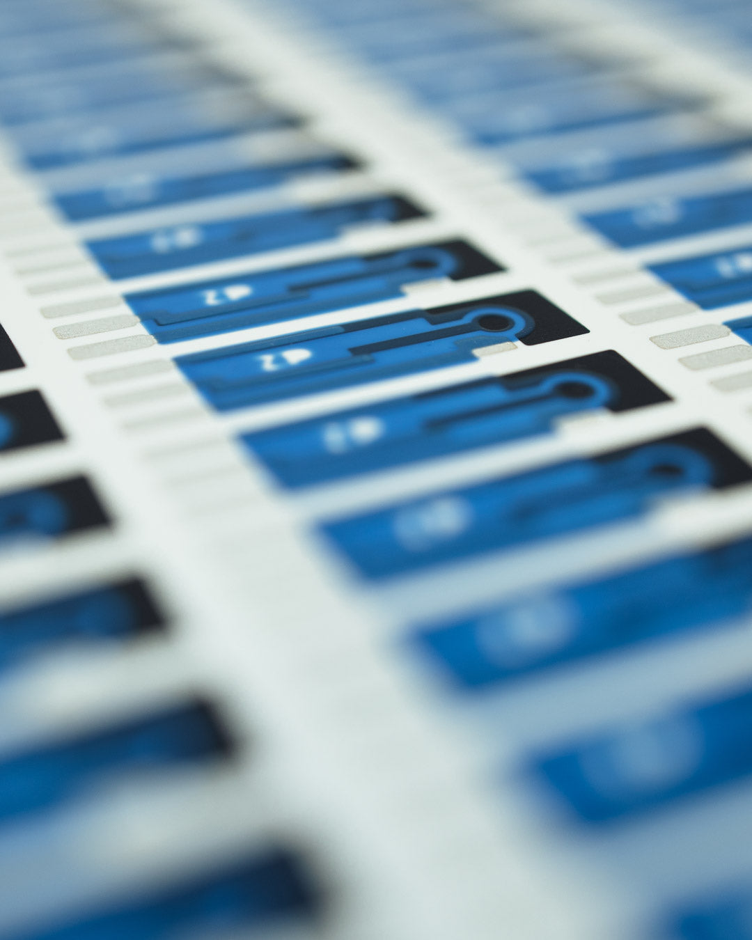 501 Carbon PET SPE sensor sheet