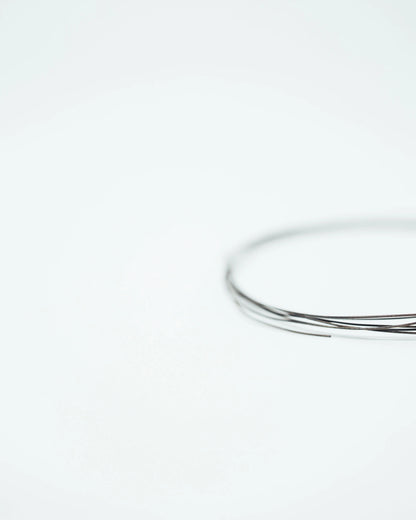 Ag/AgCl wire electrode
